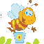 honeybee