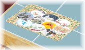 cardmat1 (7K)