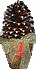 pconetopiarymed (2K)