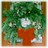 pinewreath48 (1K)