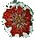 sand-dollar-poinsettiasm (2K)