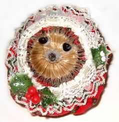 teasel-hedgehog (28K)