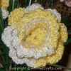 daffodil