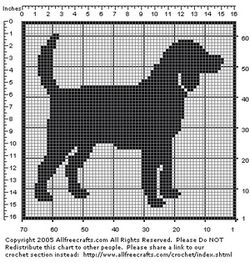beagle (24K)