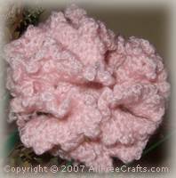 carnation (17K)