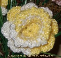 daffodil (21K)