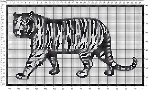 tiger (21K)