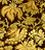floral8 (1K)