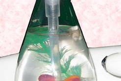 Aquarium Soap Bottles