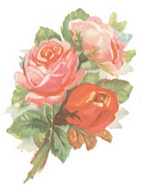 three roses