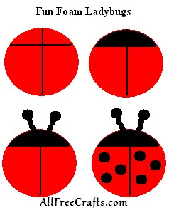 ladybug diagram