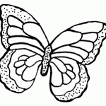cling butterfly pattern