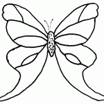 swallowtail butterfly pattern