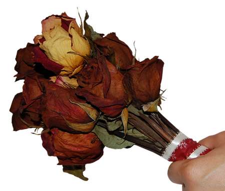 dried bouquet of roses