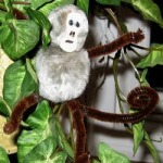 Pompom Monkey
