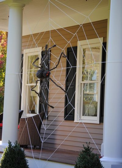 tangled clothesline web
