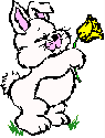 Ebunny11b (1K)