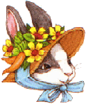 Ebunnyhat (12K)