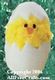 devilled egg bunnies