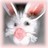 bookbunnyface48 (1K)