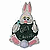 cdbunnysm (1K)