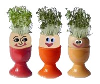 Cress Heads