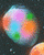 eastereggs50 (2K)