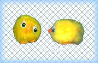 pompomchick (19K)