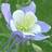 columbine48 (1K)