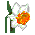daffodil2m (1K)