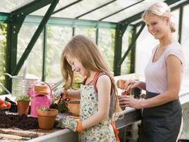 planting seeds in greenhouse