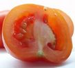 tomato (3K)