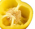 yelpep (4K)