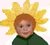 sunflowersm (1K)