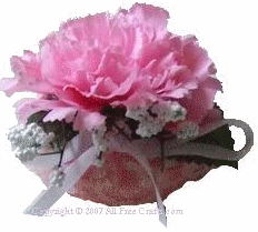 airfreshrose (25K)