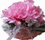 airfreshrose45 (2K)