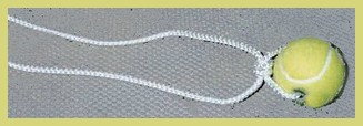 dogtoy (13K)