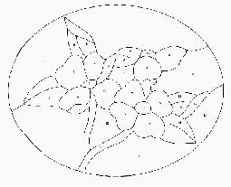 dogwoodsample (2K)