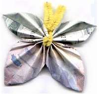 dollarbutterfly (15K)