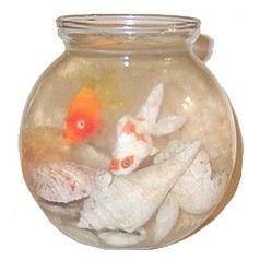fishbowl (24K)