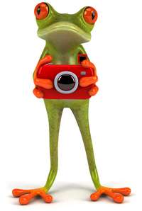 frog with camera