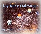 hairsnaps2 (10K)