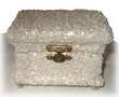 shellbox (2K)