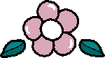 pinkflower (1K)