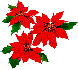 poinsettia leaves