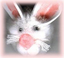 book bunny face