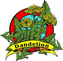 dandeliontops (11K)