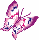 butterfly (3K)