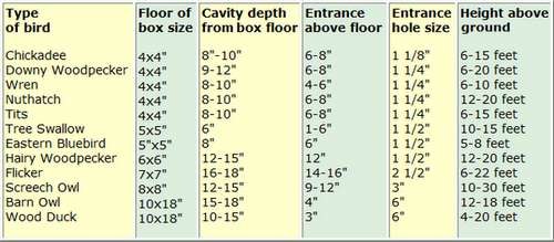 Bird House Dimensions - Build the Right Birdhouse