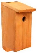 How to Build the Right Bird House